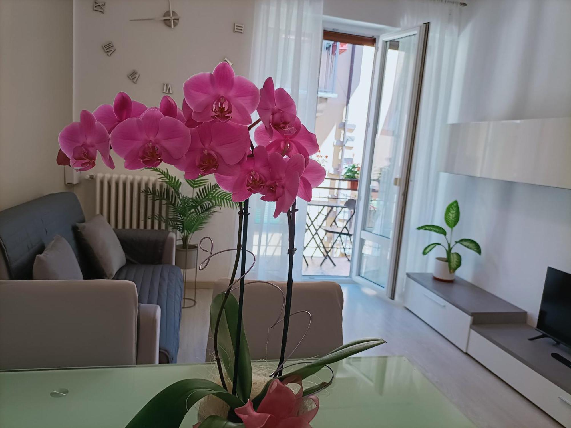 Apartment Jessy บาเวโน ภายนอก รูปภาพ